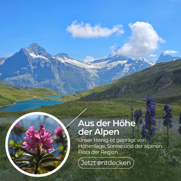 Schweizer Alpenhonig in Rohhonig-Qualität 500g