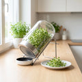 2 Keimgläser (The Way We Grow)