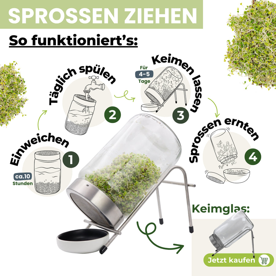 Keimglas 1700ml The Way We Grow™ aus Glas mit Ständer Biosprosser
