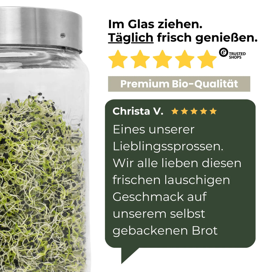 Zwiebeln/Lauch Bio Samensprossen