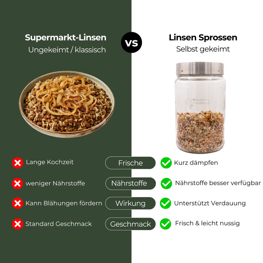 Berglinsen Sprossensamen Bio 500g