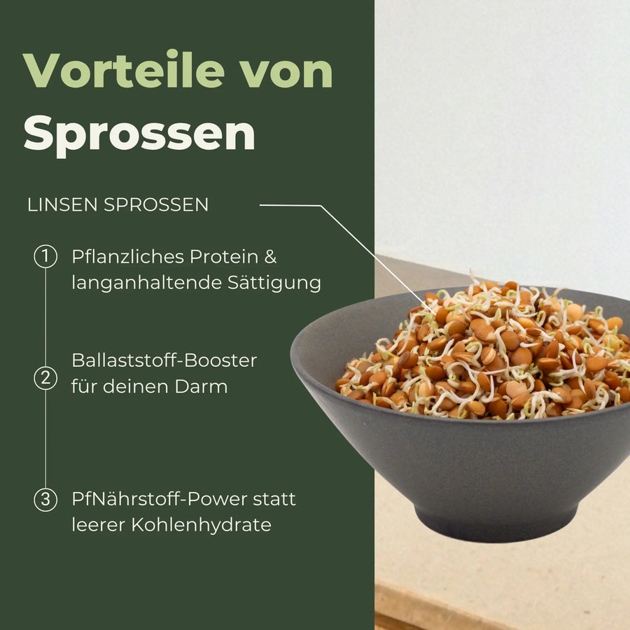Berglinsen Sprossensamen Bio 500g