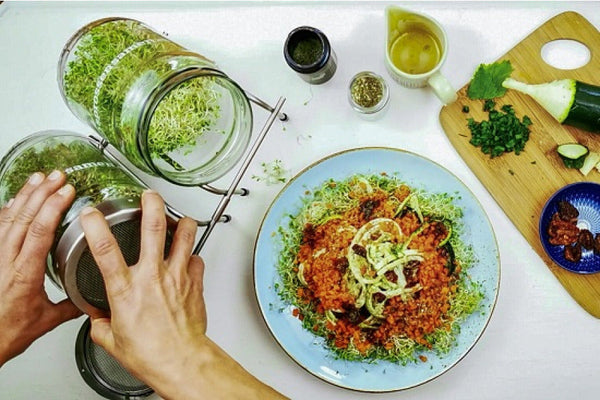Rotklee Sprossen mit Zucchininudeln und getrockneten Tomaten (Video)