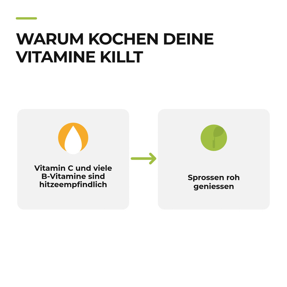 Gesunde Ernährung – Infografik zu hitzeempfindlichen Vitaminen und rohen Sprossen