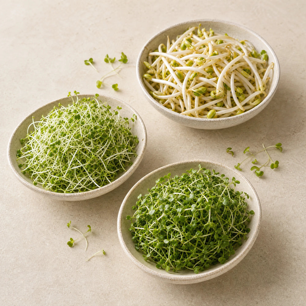 Folsäure Lebensmittel – text 5; Food-First-Motiv mit frischen Lebensmitteln und Sprossen