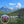 Schweizer Alpenhonig in Rohhonig-Qualität 500g