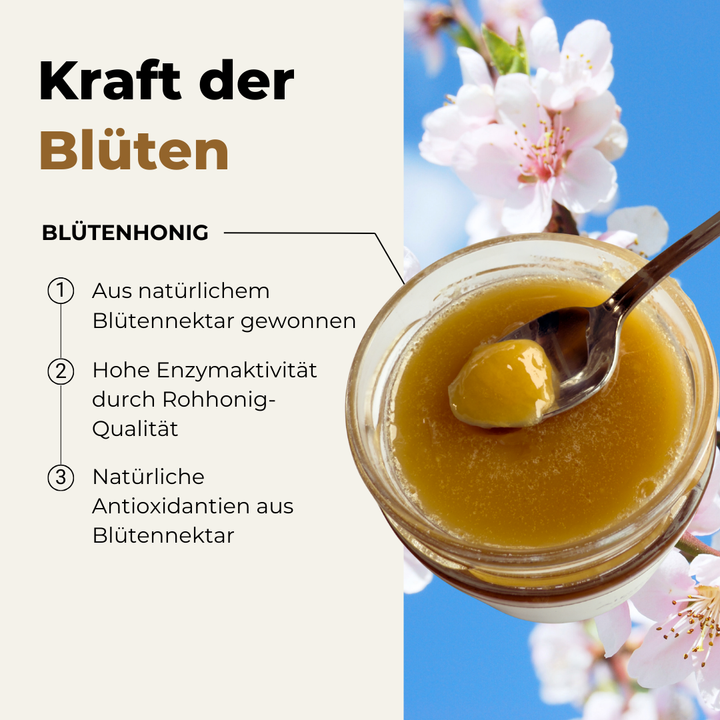 Die Vielfalt: Was Blütenhonig so besonders macht
