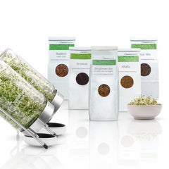 Darmgesundheit-Bundle: 5 Bio-Sprossensamen