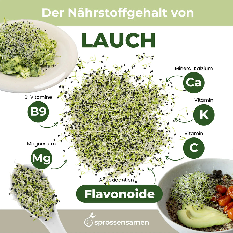 Zwiebeln/Lauch Bio Samensprossen