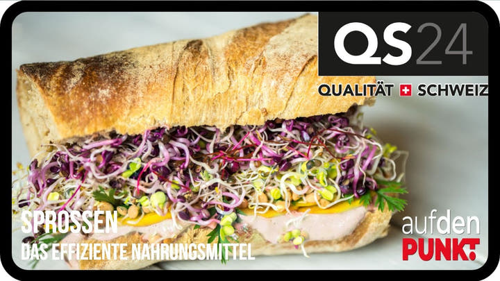 Sandwich-mit-Sprossen-Keimlinge