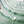 Spirulina-Messung
