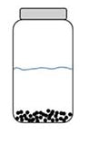 Sprossen-selber-ziehen-Schritt