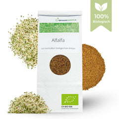 Alfalfa-Sprossen