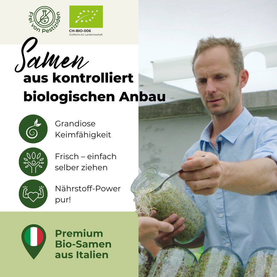 Mungbohnen grün Bio Samensprossen 500g