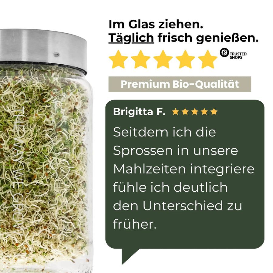 Alfalfa Sprossen / Luzerne Bio Samen 250g