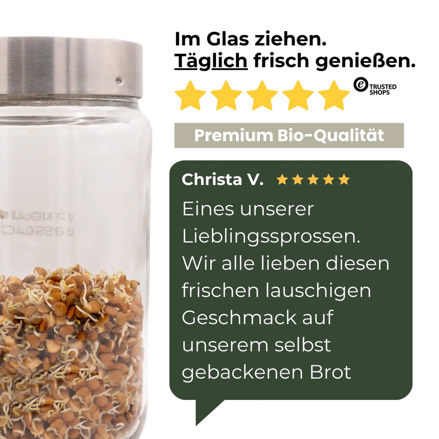Berglinsen Sprossensamen Bio 500g
