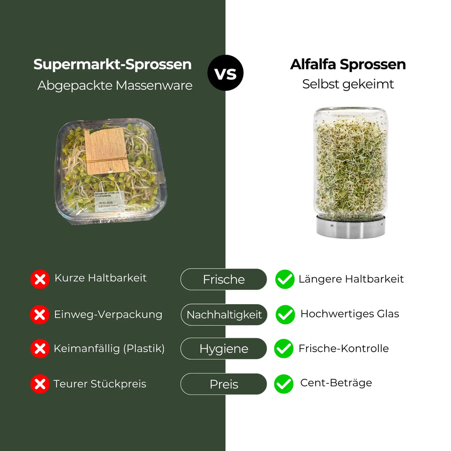 Alfalfa Sprossen / Luzerne Bio Samen 250g
