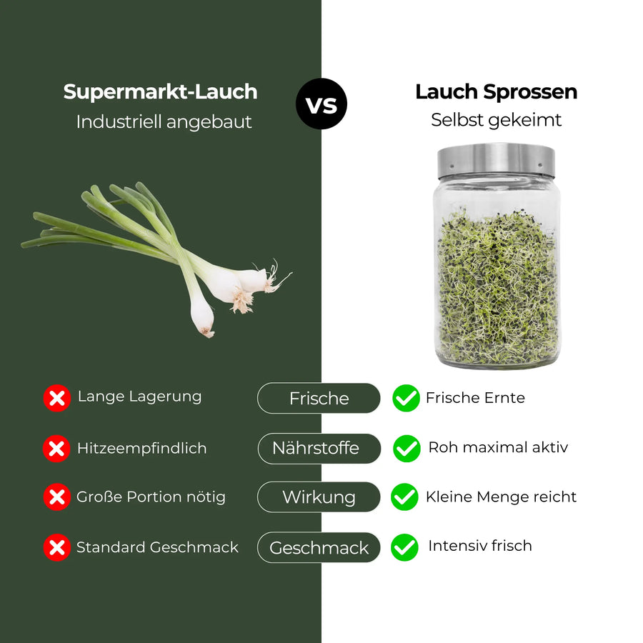Zwiebeln/Lauch Bio Samensprossen