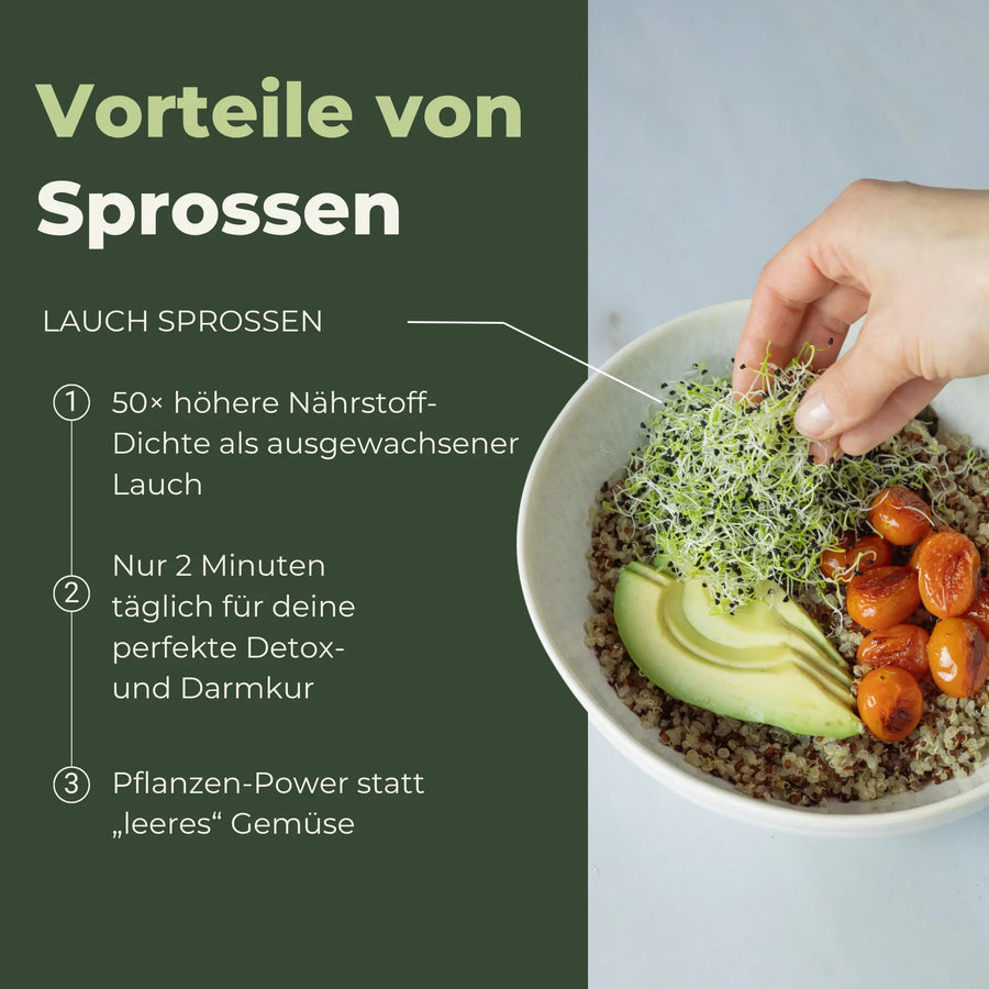 Zwiebeln/Lauch Bio Samensprossen