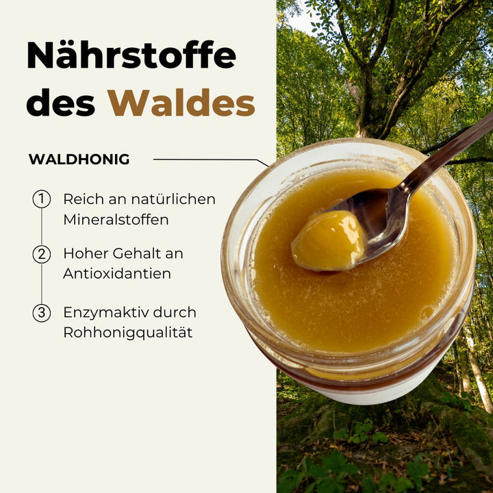 Die Kraft des Waldes: Was Waldhonig so besonders macht