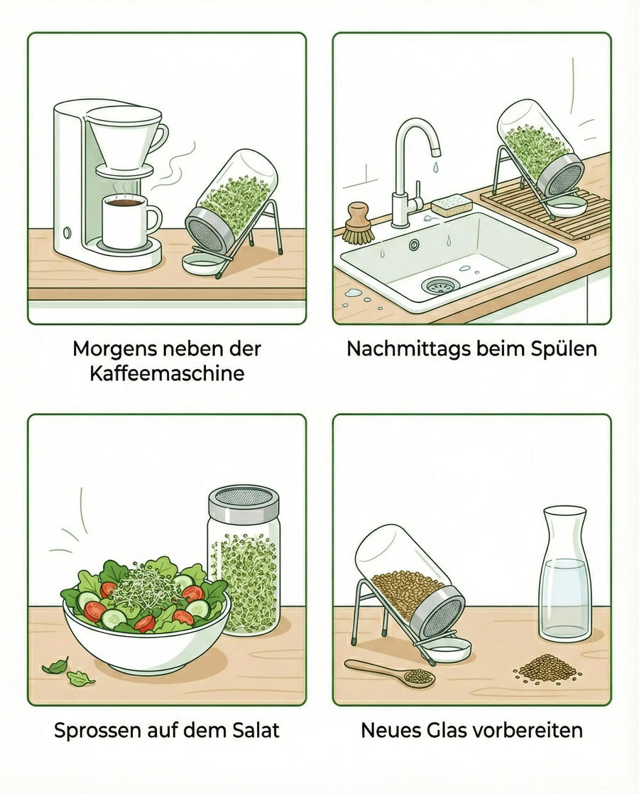 Keimglas 1700ml The Way We Grow™ aus Glas mit Ständer Biosprosser